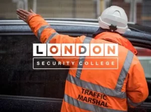 Traffic Marshal Course Online