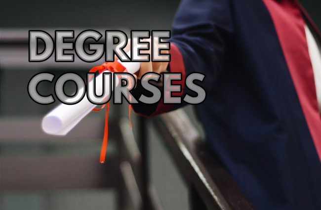 Degree courses London Business College