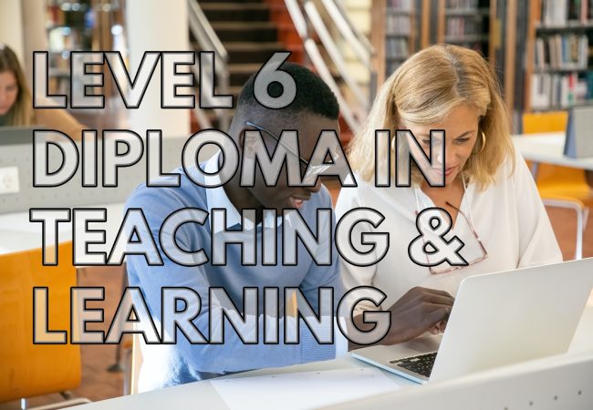 Level 6 Diploma In Teaching and Learning London Business College